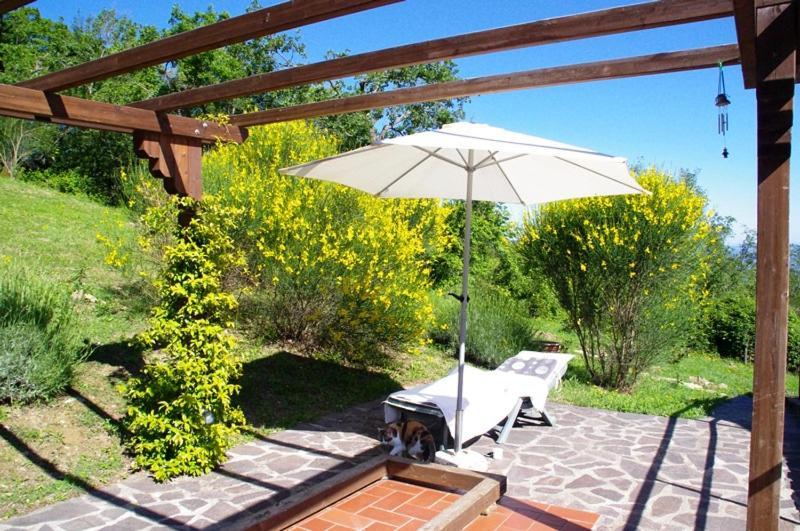 B&B Harem Arcidosso Exteriér fotografie